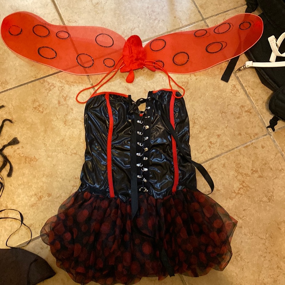 Ladybug Costume